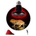 Инфракрасная лампа, керамическая, для обогрева животных, 100 Вт, Е27, ЭРА - Фото 2