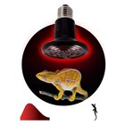 Инфракрасная лампа, керамическая, для обогрева животных, 150 Вт, Е27, ЭРА - Фото 2
