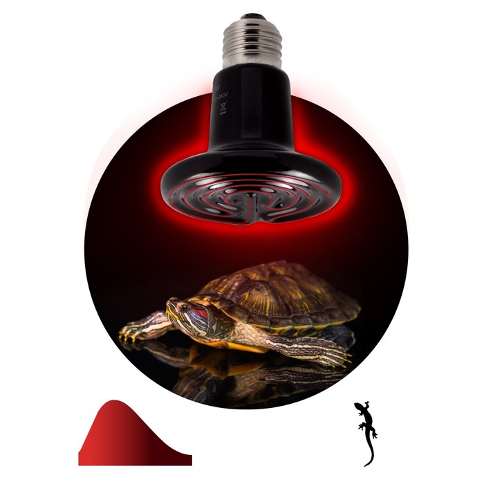 Инфракрасная лампа, керамическая, для обогрева животных, 50 Вт, Е27, ЭРА - фото 1908146795