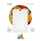 Квантум борд ЭРА FITO-160W-LED-QB Quantum board фитопрожектор полного спектра 160 Вт - Фото 2
