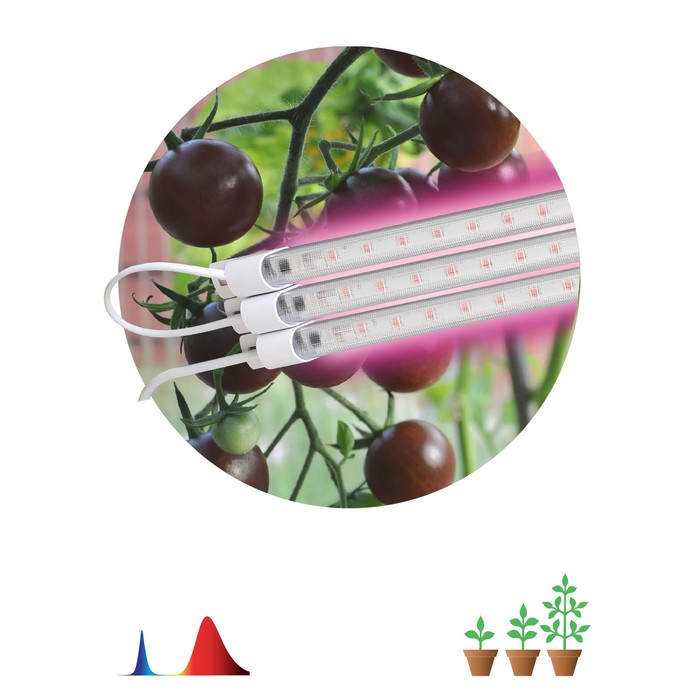 Модульный светильник для растений ЭРА FITO-3х10W-LINE-RB90 красно-синего спектра 30 Вт - фото 1908146833