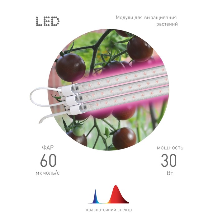 Модульный светильник для растений ЭРА FITO-3х10W-LINE-RB90 красно-синего спектра 30 Вт - фото 1927127114