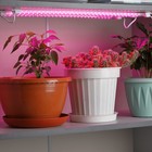 Модульный светильник для растений ЭРА FITO-3х10W-LINE-RB90 красно-синего спектра 30 Вт - Фото 8