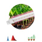 Светильник для растений, фитолампа светодиодная линейная ЭРА FITO-10W-Т5-RB-Slim красно-синего спект - фото 4321613