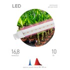 Светильник для растений, фитолампа светодиодная линейная ЭРА FITO-10W-Т5-RB-Slim красно-синего спект - Фото 3