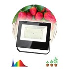 Фитопрожектор для растений светодиодный ЭРА FITO-100W-Ra90-LED для цветения и плодоношения полного с - фото 300065887
