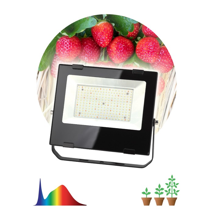 Фитопрожектор для растений светодиодный ЭРА FITO-100W-Ra90-LED для цветения и плодоношения полного с - фото 1908146847