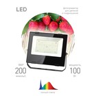 Фитопрожектор для растений светодиодный ЭРА FITO-100W-Ra90-LED для цветения и плодоношения полного с - Фото 2