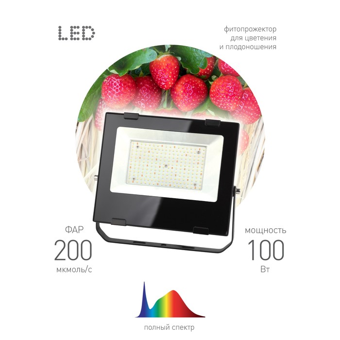 Фитопрожектор для растений светодиодный ЭРА FITO-100W-Ra90-LED для цветения и плодоношения полного с - фото 1908146848