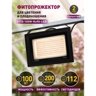 Фитопрожектор для растений светодиодный ЭРА FITO-100W-Ra90-LED для цветения и плодоношения полного с - Фото 15