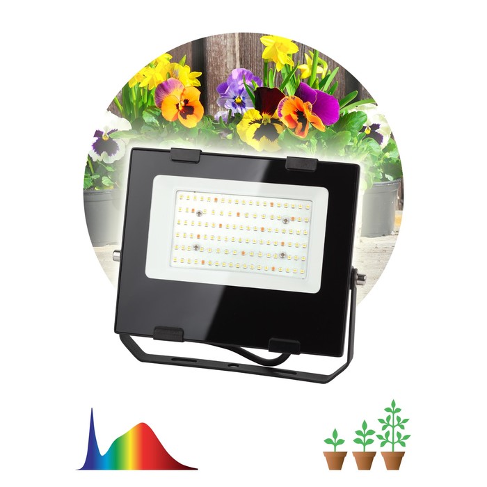 Фитопрожектор для растений светодиодный ЭРА FITO-50W-Ra90-LED для цветения и плодоношения полного сп - Фото 1
