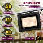 Фитопрожектор для растений светодиодный ЭРА FITO-50W-Ra90-LED для цветения и плодоношения полного сп - Фото 2