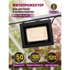 Фитопрожектор для растений светодиодный ЭРА FITO-50W-Ra90-LED для цветения и плодоношения полного сп - Фото 15
