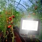 Фитопрожектор для растений светодиодный ЭРА FITO-50W-Ra90-LED для цветения и плодоношения полного сп - Фото 3