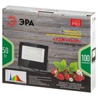 Фитопрожектор для растений светодиодный ЭРА FITO-50W-Ra90-LED для цветения и плодоношения полного сп - Фото 8