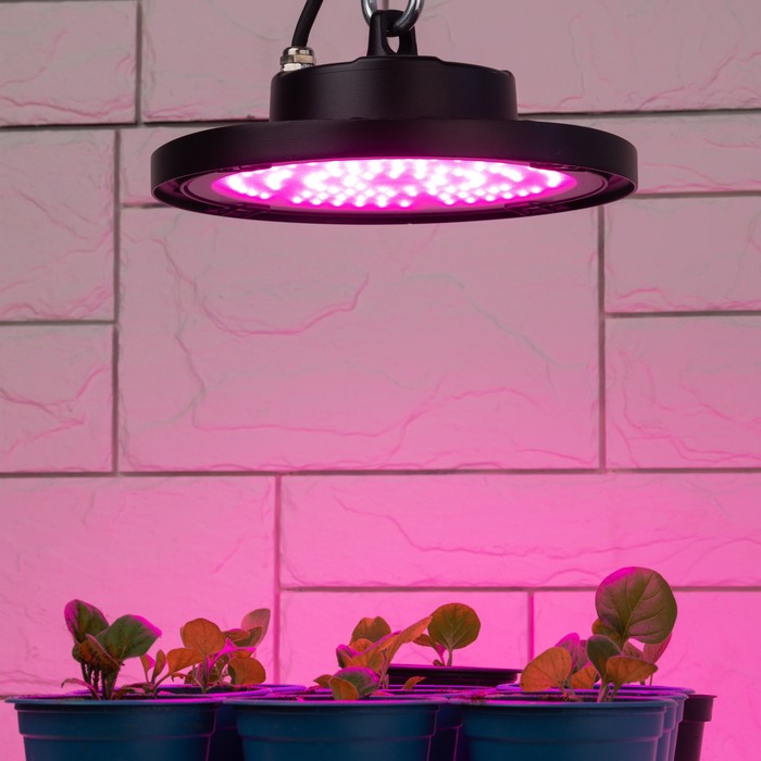 Фитопрожектор для растений светодиодный ЭРА FITO-50W-RB-LED-UFO красно-синего спектра 50 Вт IP65   1 - фото 1908146891