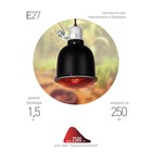 Светильник для террариумов и брудеров ЭРА FITO-E27-SHADE с защитной решеткой - Фото 2