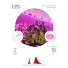Светодиодная лента для растений ЭРА FITO-Strip Light-RB-2m красно-синего спектра, 2 м, IP65 с адапте - Фото 2