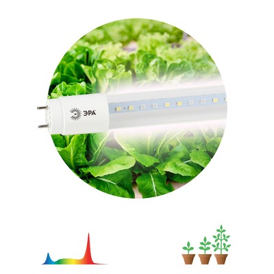Фитолампа для растений светодиодная ЭРА FITO-18W-Ra90-Т8-G13-NL полного спектра 18 Вт Т8 G13   10472