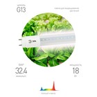 Фитолампа для растений светодиодная ЭРА FITO-18W-Ra90-Т8-G13-NL полного спектра 18 Вт Т8 G13   10472 - Фото 2
