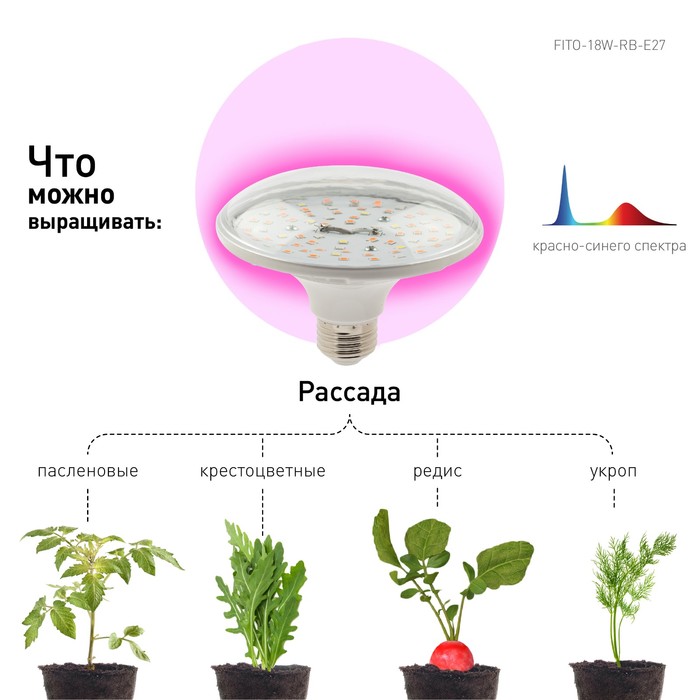 Фитолампа для растений светодиодная ЭРА FITO-18W-RB-E27 красно-синего спектра 18 ВТ Е27 - фото 1889039740