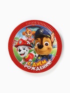 Посуда одноразовая бумажная «Щенячий патруль», на 10 персон, стаканы, тарелки, скатерть, МИКС - Фото 5