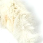 Лакомство-игрушка Пушистое счастье: Хвост кролика для собак и кошек, 1 шт. - фото 9660697