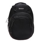 Рюкзак молодёжный 48 х 33 х 21 см, Grizzly, эргономичная спинка, отделение для ноутбука, чёрный/серый - Фото 3