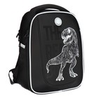 Ранец каркасный, 36 х 29 х 18 см, Grizzly, чёрный - фото 23956233