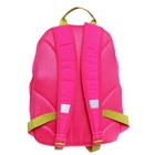Рюкзак школьный, 38 х 28 х 18 см, Grizzly, эргономичная спинка, розовый - Фото 5
