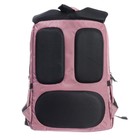 Рюкзак школьный, 39 х 26 х 17 см, Grizzly, эргономичная спинка, розовый - Фото 6