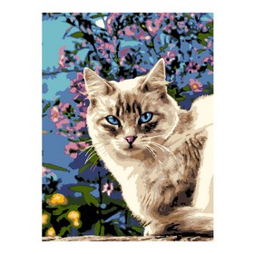 Картина по номерам «Голубоглазая красотка», на картоне 28,5 × 38 см