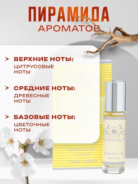 Духи масляные мужские One Secret, 6 мл