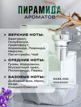 Туалетная вода мужская Mark Him, 30 мл