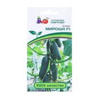 Семена Огурец «МИРОША» F1, гибрид, партенокарпический, 10 шт. - Фото 1