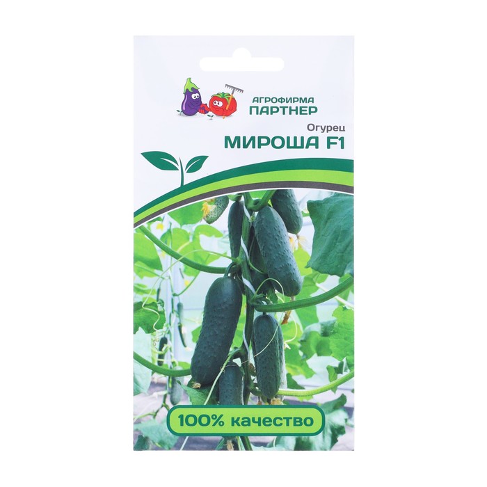 Семена Огурец «МИРОША» F1, гибрид, партенокарпический, 10 шт. - Фото 1