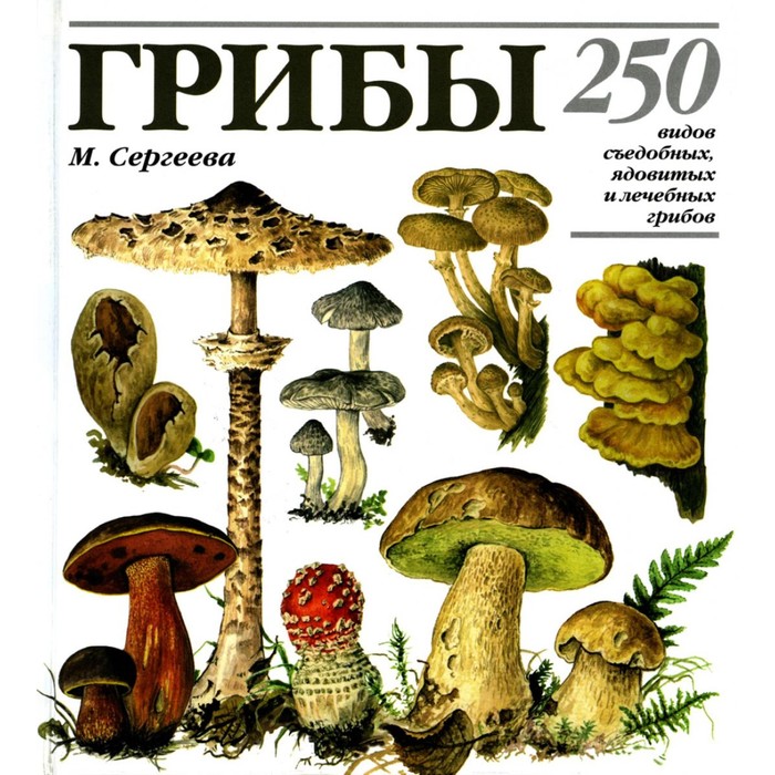 Грибы. 250 видов съедобных, ядовитых и лечебных грибов. Сергеева М.Н. - Фото 1