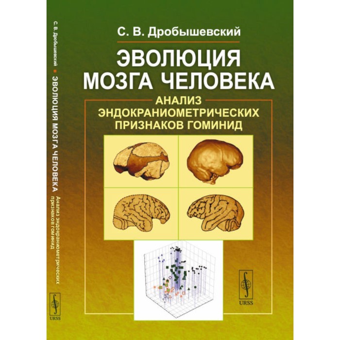 Эволюция мозга человека. Анализ эндокраниометрических признаков гоминид. Дробышевский С.В. - Фото 1