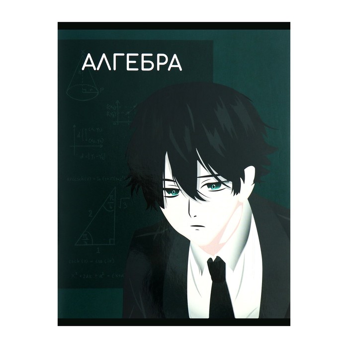 Предметная тетрадь по алгебре Calligrata TOP «Аниме», 48 листов, в клетку, со справочным материалом, обложка из мелованного картона - Фото 1