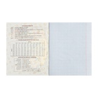 Предметная тетрадь по алгебре Calligrata TOP «Аниме», 48 листов, в клетку, со справочным материалом, обложка из мелованного картона - Фото 5