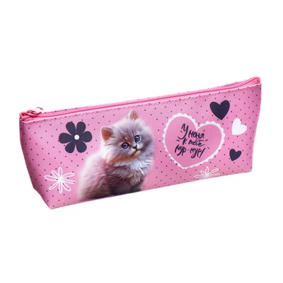 Пенал мягкий, 1 отделение, 80×190(225) × 40 мм, объёмный, ПМО 32-20 «Мур-мур»