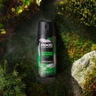 Дезодорант для мужчин AXE изумрудный пачули с нотами мяты и кедра,150мл - фото 300542616