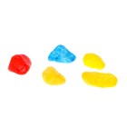 Набор для опытов «Чудо-сад», собачки, в пакете - фото 24671941