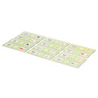 Набор для опытов "Набор микропрепаратов", растения . в ПАКЕТЕ - фото 24665308