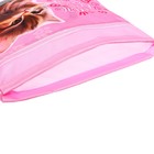 Мешок для обуви с карманом 420 х 340мм, светоотражающая полоса, СДС-71 "Котенок мяу" розовый - Фото 4