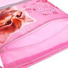Мешок для обуви с карманом 420 х 340мм, светоотражающая полоса, СДС-71 "Котенок мяу" розовый - Фото 5