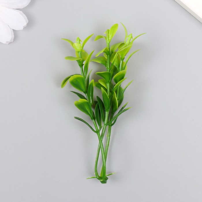 Искусственное растение для творчества "Веточка с листьями эвкалипта" набор 12 шт 8,5 см