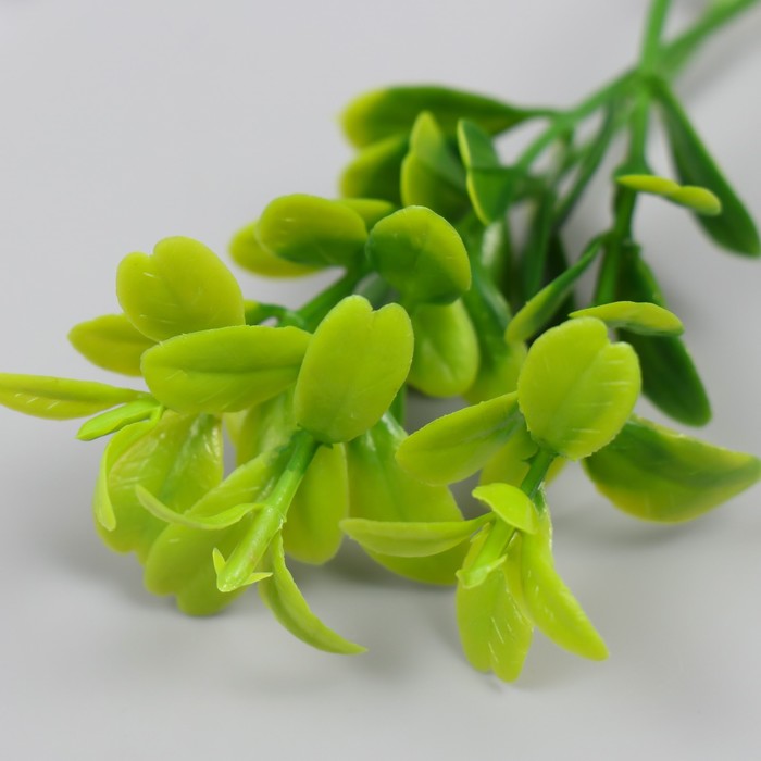 Искусственное растение для творчества "Веточка с листьями эвкалипта" набор 12 шт 8,5 см