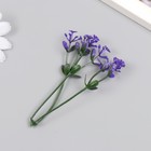 Искусственное растение для творчества "Чистотел" набор 12 шт фиолетовый 9 см - Фото 3