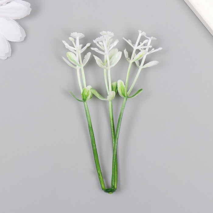 Искусственное растение для творчества "Чистотел" набор 12 шт белый 9 см